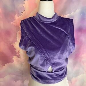 Purple velour crop top